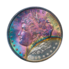 1896 Morgan Dollar PCGS MS65 Toned