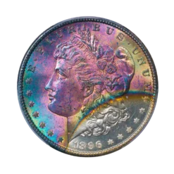 1896 Morgan Dollar PCGS MS65 Toned
