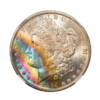 1884-O Morgan Dollar NGC MS64+★ Toned