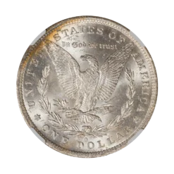 1884-O Morgan Dollar NGC MS64+★ Toned