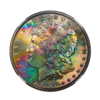 1886 Morgan Silver Dollar NGC MS66 CAC (Toned)