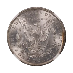 1883-O Morgan Silver Dollar NGC MS65★ CAC (Toned)