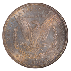 1882-S Morgan Silver Dollar NGC MS66 Toned
