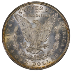 1881 Morgan Silver Dollar CACG MS64 Toned